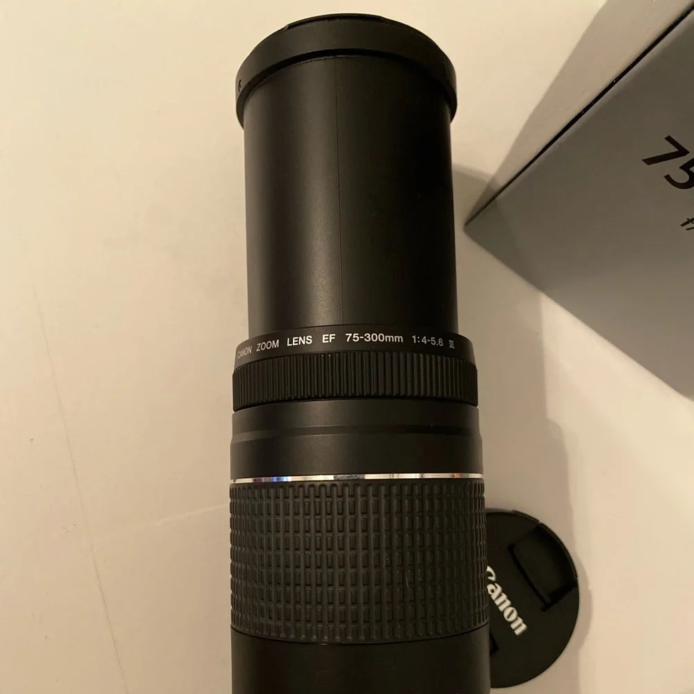 Canon EF 75-300mm f/4-5.6 lens